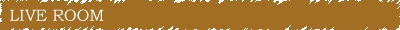 428�X�^�W�I